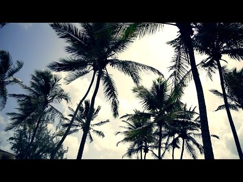 Vlg rocki - Ftlj