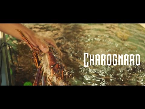 Lopez x Tito - Charognard