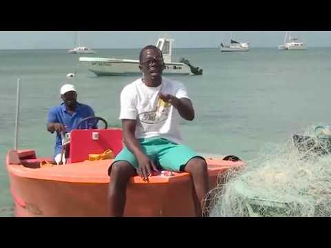 Elsy - confié zot