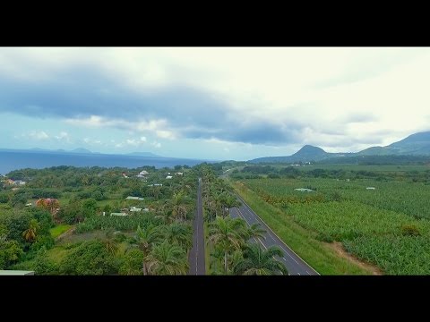 Dylane - pon moun (beyonce - hold up cover)