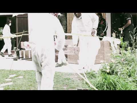 Bibi blood - bob x bmy