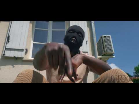Dngz - vgm