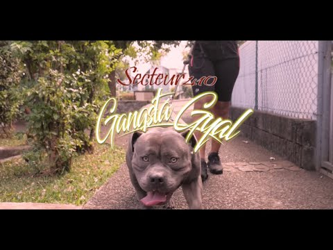 Secteur 410 - gangsta gyal