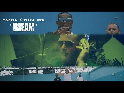 Yogsta x Peppa seed - Dream