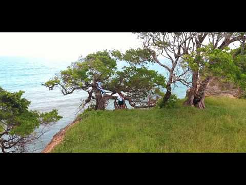 Daly  - mama