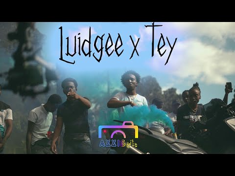 Luidgee x tey - an ké fèy