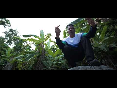 Tetra - Rêve