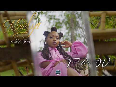 Dj yaya feat maelya - tout pou ou