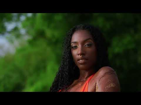 Gayia - An Ba Fèy