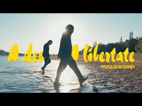 Primates à Plumes -  A Deo A Libertate