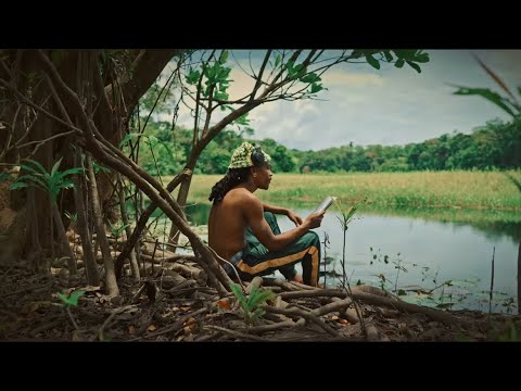 Vaga - Gun Melody