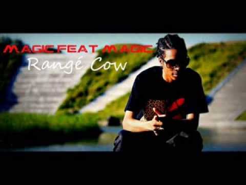 Magic Feat Magic - Rangé Cow