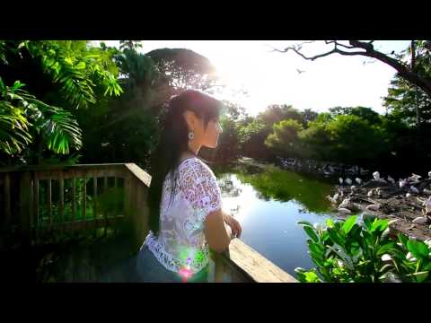 T Vice - Ma chérie je t'aime